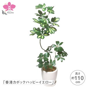 u`J|bNnbs[CG[vtFCNO[AG} yWSz