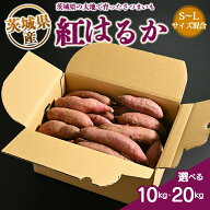 紅はるか 生芋 S〜Lサイズ混合 (10kg×1箱または2箱) いも長 さつまいも いも 生いも 紅はるか 国産 バー…