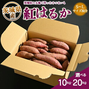 y}\500~N[|Ώہzg͂邩  S`LTCY (10kg×1܂2)  ܂   g͂邩 Y o[xL[ BBQ Lv Cxg   e { 