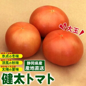 _Iׂeʁ^g}g b ʃg}g g}g Ƃ܂ tomato Â    ₳ Rs wV[ VN Yn yWSz