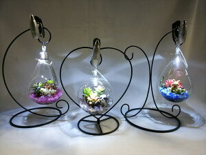 A̎Rg@2ރZbgiAWAvc3ށ{iCgeE3ނIׂ2Zbgj yWSz