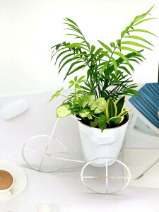 K^ԊϗtA̎O֎Ԃ܂񂹐Ai3`4ij yWSz