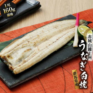 ԏR[BȂ@ā@1i160gOj@V EiM Ă yWSz