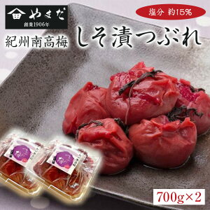 IB썂~ЂԂi15j700g×2 yWSz