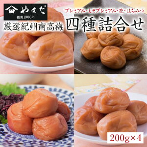 yő1000~OFFN[|zIIB썂~ll yWSz