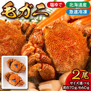 уKj 2@| v1kgȏ (TCYIׂ 1570gE660g) ъI  Jj I p O v[g Mtg kC ʎs yWSz