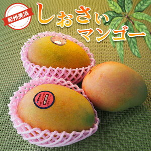 �}���S�[ �y�\��z�_�I�ׂ���e�ʁ^�I�B���l���������}���S�[�@�������� �ʕ� �t���[�c ���Y �a�̎R�����l���Y �������ւ̔z���s�� �yWS�z