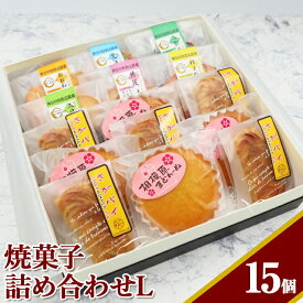 焼菓子詰め合わせL 送料無料【WS】