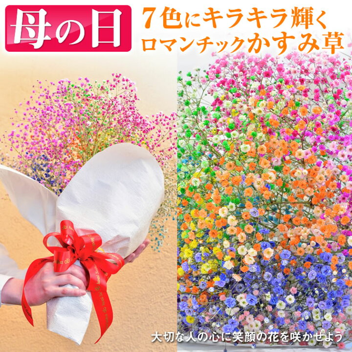 楽天市場 遅れて発送割 5月9日以降発送 母の日ギフト 花 ロマンチックかすみ草 7色そろう ふわふわブーケ7本 キラキラ 七色 輝く 花束 送料無料 カスミソウ カスミ草 花 花束 生花 母の日 プレゼント 母の日ギフト フラワーアレンジメント レインボー 花