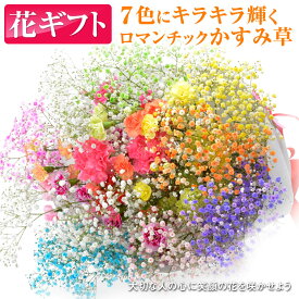 プレゼント 花 ロマンチックかすみ草＜プレミアム・スマイルブーケ＞キラキラ 輝く 花束。 送料無料 カスミソウ カスミ草 花 花束 かすみそう プロポーズ ギフト プレゼント 母の日花 子供 誕生日 結婚式 お祝い 送別会 レインボー 妻