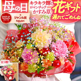 遅れてごめんね 母の日 花 ギフト 2026 輝くかすみ草 カーネーション フラワーアレンジメント ロマンチックかすみ草＜ミックス・スマイルバスケット＞ 生花 花カゴ 送料無料 キラキラ 母の日プレゼント 花束 生花 珍しい 母親 義母 実母 30代 40代 50代 60代 70代 おしゃれ