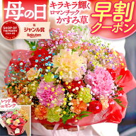＼ 早割 ／母の日 花 ギフト 2026 輝くかすみ草 カーネーション フラワーアレンジメント ロマンチックか…