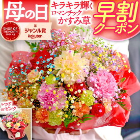 ＼ 早割 ／母の日 花 ギフト 2026 輝くかすみ草 カーネーション フラワーアレンジメント ロマンチックかすみ草＜ミックス・スマイルバスケット＞ 生花 花カゴ 送料無料 キラキラ 母の日プレゼント 花束 生花 珍しい 義母 実母 30代 40代 50代 60代 70代 おしゃれ かわいい
