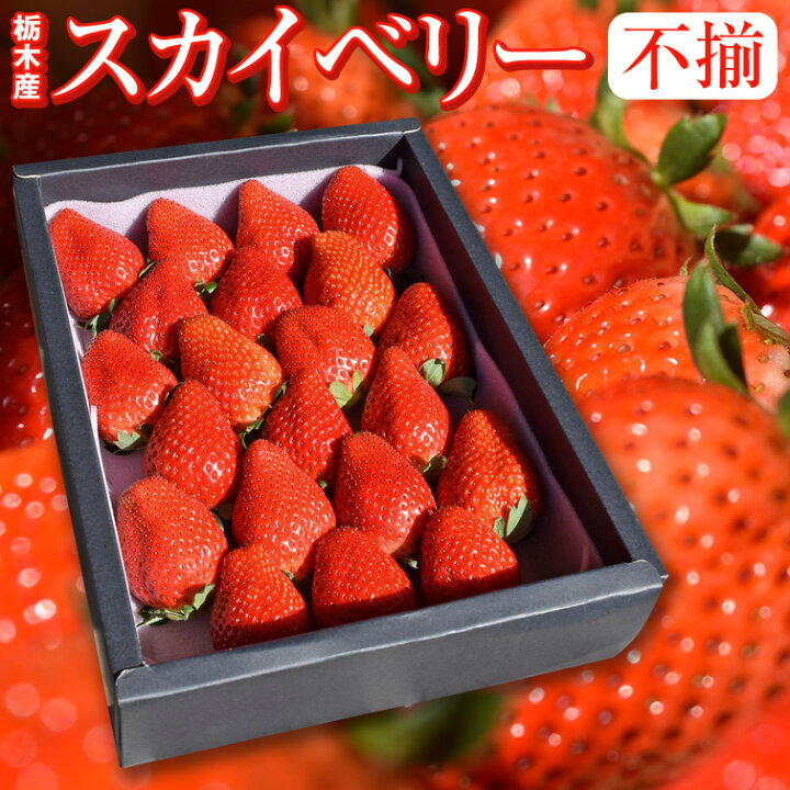 楽天市場 スカイベリー 苺 いちご ふぞろいの苺たち 約650g 栃木県産 スカイベリー いちご 送料無料 苺 イチゴ お祝い 食べ物 ホワイトデー バレンタイン お返し プレゼント ギフト お取り寄せ 御見舞 お土産 帰省土産 おすすめ 不揃い お取り寄せ 栃木のタウン誌