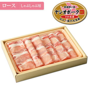   VI|[N([X400g)@| HMtg nEB Ε 2025 Ε ~Mtg NX}X Ԃԗp Y ؓ  3000~ 2lO 3lO 2l 3l Hו v[g Mt