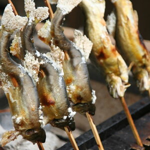 N炿 YΏ  10Zbg@|@  A  v[g Mtg j j Ԃ 