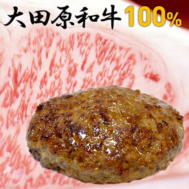 【A5ランク和牛】送料無料 大田原和牛 100％ハンバーグ(約150g×5個) | 冷凍ハンバーグ 結婚祝い 結婚 出産 内祝い 会社 職場 法人 食べ物 贈り物 お祝い 内祝い お返し 母の日 父の日 春ギフト 2024 プレゼント ギフト お礼 ごちそう おすすめ お取り寄せ