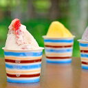 お中元 アイス 那須生まれのジェラート 6個ギフト送料無料 絶品いちごジェラート等のアイスセット | アイスクリーム …
