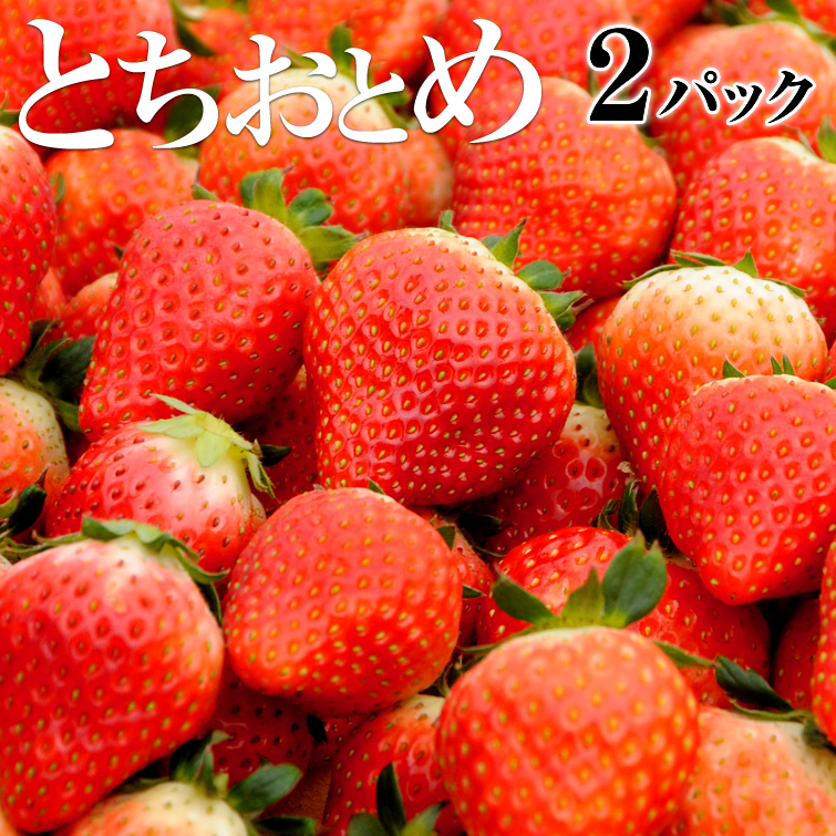 楽天市場】苺 いちご とちおとめ 500g(250g×2パック) 栃木県日光産