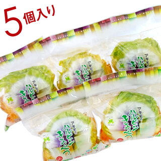 ハルピンきゃべつ
