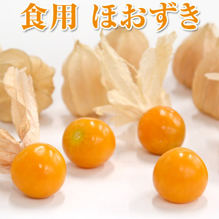 楽天市場】食用 ほうずき 14粒(約100g) 果物 くだもの フルーツ お 