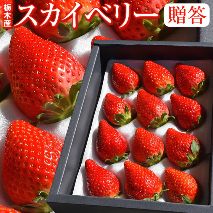 楽天市場 スカイベリー 苺 いちご 贈答用 約450g 12粒 栃木県産 スカイベリー いちご 送料無料 苺 イチゴ お祝い 歓迎会 ごギフト プレゼント お取り寄せ 御見舞 お土産 帰省土産 おすすめ お取り寄せ Icp 栃木のタウン誌厳選 もんみや通販