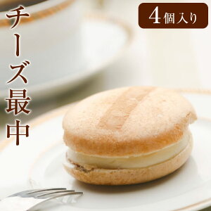 `[YŒ 4 | iJ Ȃ XC[c `[Y َq HMtg Ε 2025 Ε ~Mtg NX}X NNn ii Mtg v[g v`Mtg  َq  z ii ސE 