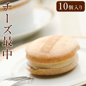 `[YŒ 10 | iJ Ȃ XC[c `[Y َq HMtg nEB Ε 2025 Ε ~Mtg NX}X ii Mtg v[g v`Mtg  َq  z ii 