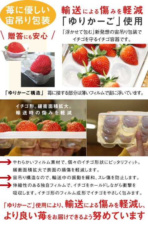 楽天市場】いちご 苺 とちあいか ホール 詰め 350g x 1箱 (贈答用 