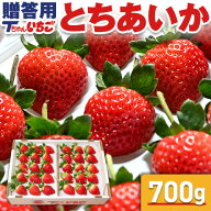 いちご 苺 とちあいか　ホール詰め 700g x 1箱 (贈答用)　／いちごギフト いちご 苺 イチゴ とちあいか …