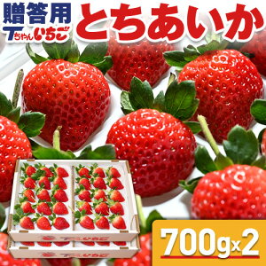   Ƃ@z[l 700g x 2 (v1.4kg) (p)@^Ȗ،Y Ƃ   C`S \  Ȗ؎YC`S {̃t[c ʕ T j j Hו 