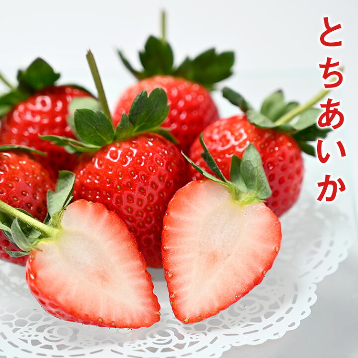 楽天市場】いちご 苺 とちあいか ホール 詰め 350g x 1箱 (贈答用 