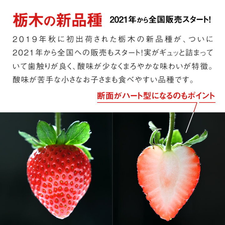 楽天市場】いちご 苺 とちあいか ホール 詰め 350g x 1箱 (贈答用 