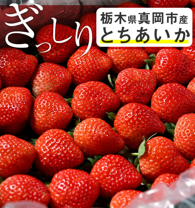 楽天市場 いちご 苺 とちあいか ぎっしり詰め1kg 500g X 2箱 栃木県産 とちあいか 貞ちゃん いちご とちあいか 送料無料 苺 イチゴ 生いちご Tちゃん お祝い 会社 職場 大量 法人 食べ物 贈り物 お返し プレゼント ギフト 御見舞 お取り寄せ Bk Icp 栃木の