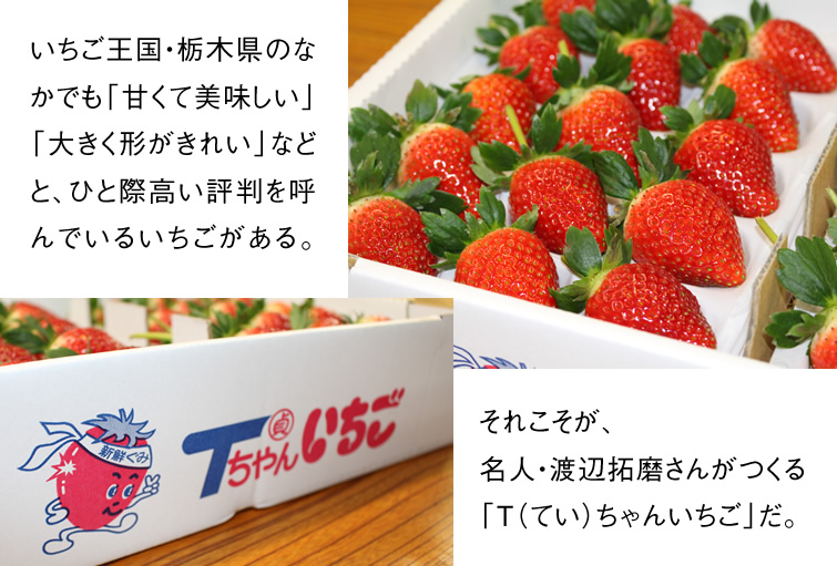 楽天市場】いちご 苺 とちあいか ぎっしり詰め2.4kg(1.2kg x 2箱 