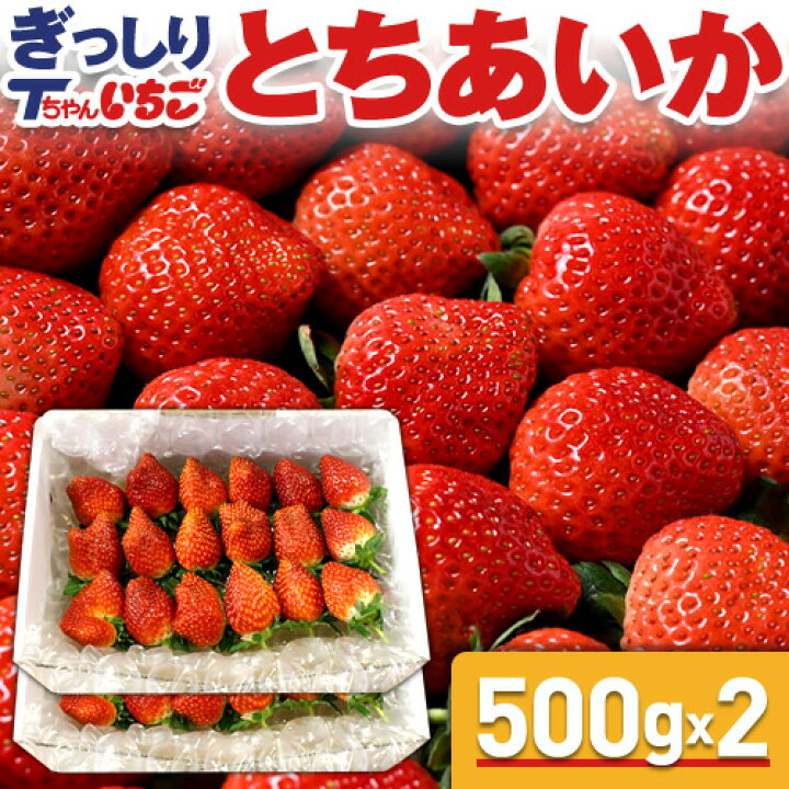 楽天市場 いちご 苺 とちあいか ぎっしり詰め1kg 500g X 2箱 栃木県産 とちあいか 貞ちゃん いちご とちあいか 送料無料 苺 イチゴ 生いちご Tちゃん お祝い 会社 職場 大量 法人 食べ物 贈り物 お返し プレゼント ギフト 御見舞 お取り寄せ Bk Icp 栃木の