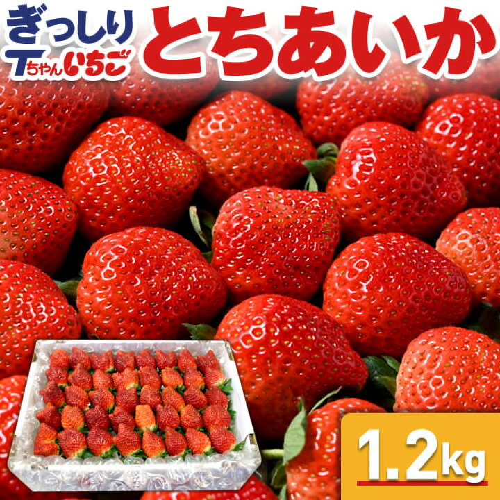 楽天市場】いちご 苺 とちあいか ぎっしり詰め1.2kg x 1箱 ／栃木県産 