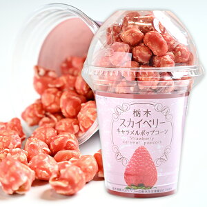 yN[|zȖ؃XJCx[ L|bvR[ @ C`S  َq z Cxg ii HMtg nEB Ε 2025 Ε ~Mtg NX}X Ԃ v[g 