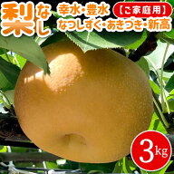 【予約 早期受付】梨 3kg箱 (家庭用) 送料無料 なし 梨 予約 幸水 なつしずく 豊水 あきづき 秋月 幸水梨…