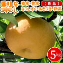 【予約 早期受付】梨 5kg箱 (秀品) 送料無料 なし 梨 予約 幸水 なつしずく 豊水 あきづき 秋月 幸水梨 豊水梨 新高 …
