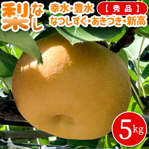 y\z 5kg (Gi)  Ȃ  \ K Ȃ L Â H K L V V ɂ 5L H̖o ʕ  t[c { 蕨 Mtg v[g