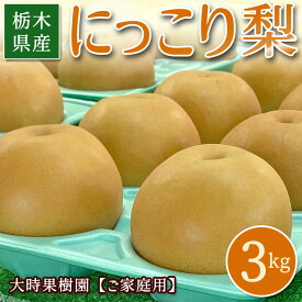 【予約】にっこり 梨 3kg箱 (家庭用) 送料無料 なし 梨 予約 秋の味覚 果物 くだもの フルーツ 旬 贈り物 ギフト プレゼント 冬ギフト お祝い 結婚 出産 内祝い お返し お礼 産直 お取り寄せ【WS】【BK】