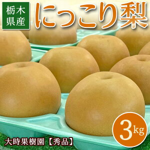 y\zɂ  3kg (Gi)  Ȃ  \ 3L H̖o ʕ  t[c { 蕨 Mtg v[g ~Mtg j  oY j Ԃ  Y 