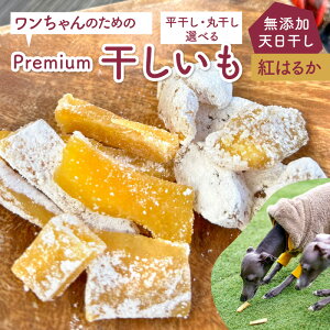 ̂ ̂߂̃v~A  b    ۊ  C  ق قC ق Zbg lߍ킹 Ȗ،Y Y   Â 