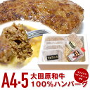 【A4.5ランク和牛】送料無料 大田原和牛 100％ハンバーグ(約150g×5個) | 冷凍ハンバーグ 贈り物 お祝い 内祝い お返し 父の日 お中元 御中元 2025 春ギフト 夏ギフト 母の日 景品 プレゼント ギフト お礼 ごちそう おすすめ お取り寄せ グルメ あす楽