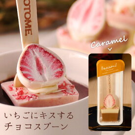 バーチャミ (キャラメル) ホットチョコスプーン ホットチョコレート ホットドリンク チョコスティック 苺 いちご イチゴ イベント 景品 母の日 父の日 春ギフト プレゼント ギフト プチギフト 会社 職場 法人 お祝い 内祝い お返し お土産 お取り寄せ あす楽