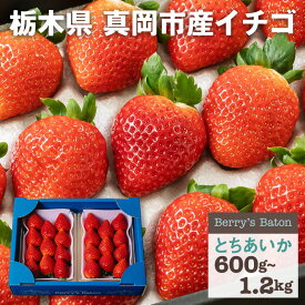 いちご とちあいか 青箱(平パック入2P) | 送料無料 いちご 苺 イチゴ 生いちご 旬の果物 フルーツ プレゼント ギフト お祝い 内祝い お取り寄せ 栃木県産 栃木産【WS】