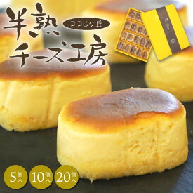 半熟チーズ工房　チーズケーキ 個包装 洋菓子 スイーツ お菓子 ギフト プレゼント 父の日 お中元 御中元 2025 春ギフト 夏ギフト 母の日 お祝い 内祝い お返し お礼 お土産 手土産 おすすめ 人気 お取り寄せ