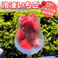 冷凍いちご 1.5kg または 2kg (とちあいか)　／栃木県産 いちご 苺 イチゴ とちあいか 送料無料 冷凍果物…