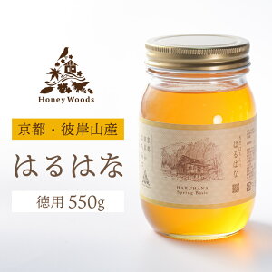 ݂͂ ͂͂ p550g@n`~c I {I Y {Y v[g Ԃ  yY yY n  lC  yWSz